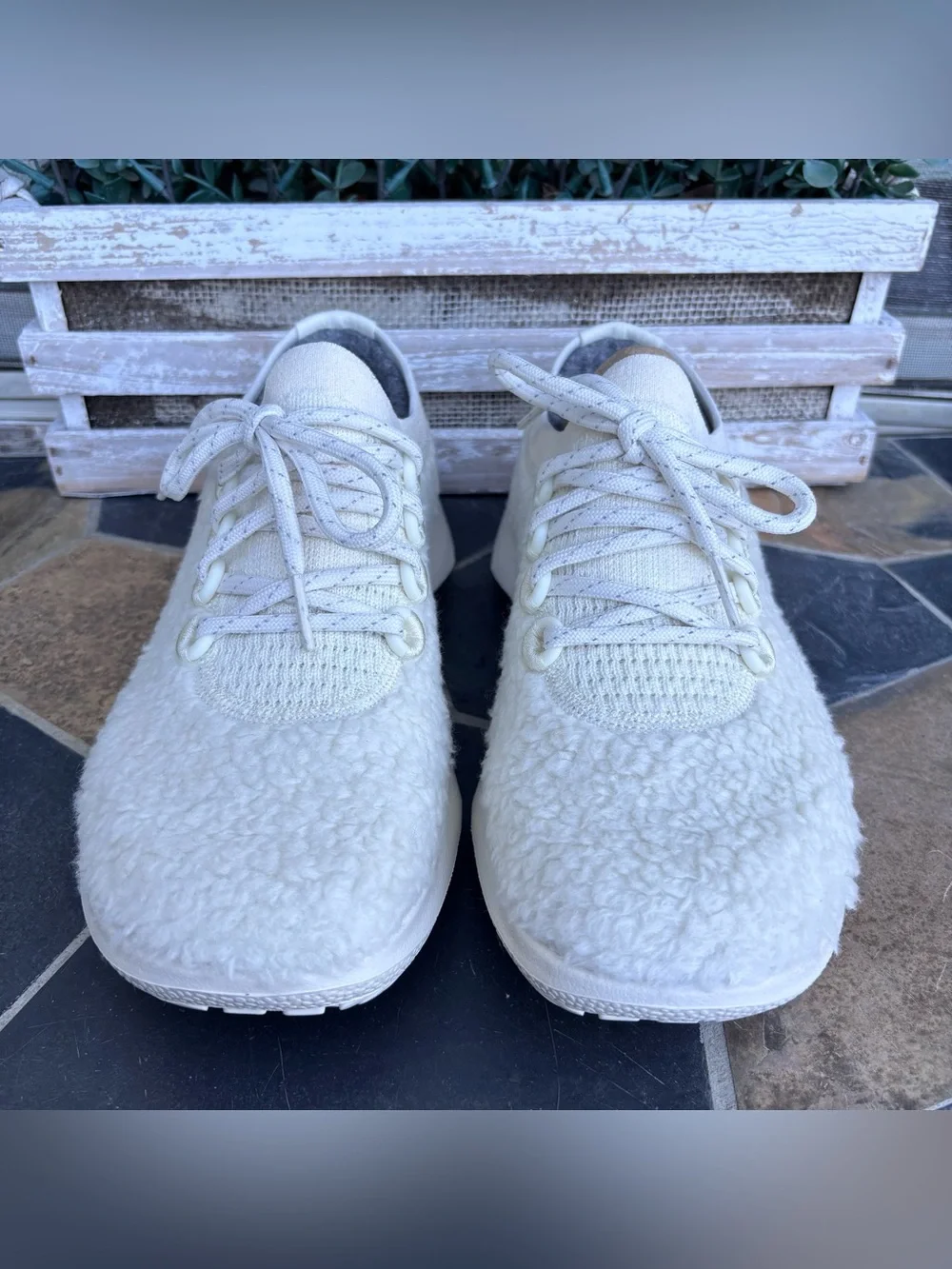 Allbirds Wool Dasher Fluff Sneakers